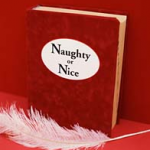 naughty or nice in your kitchen is your kitchen on the naught list