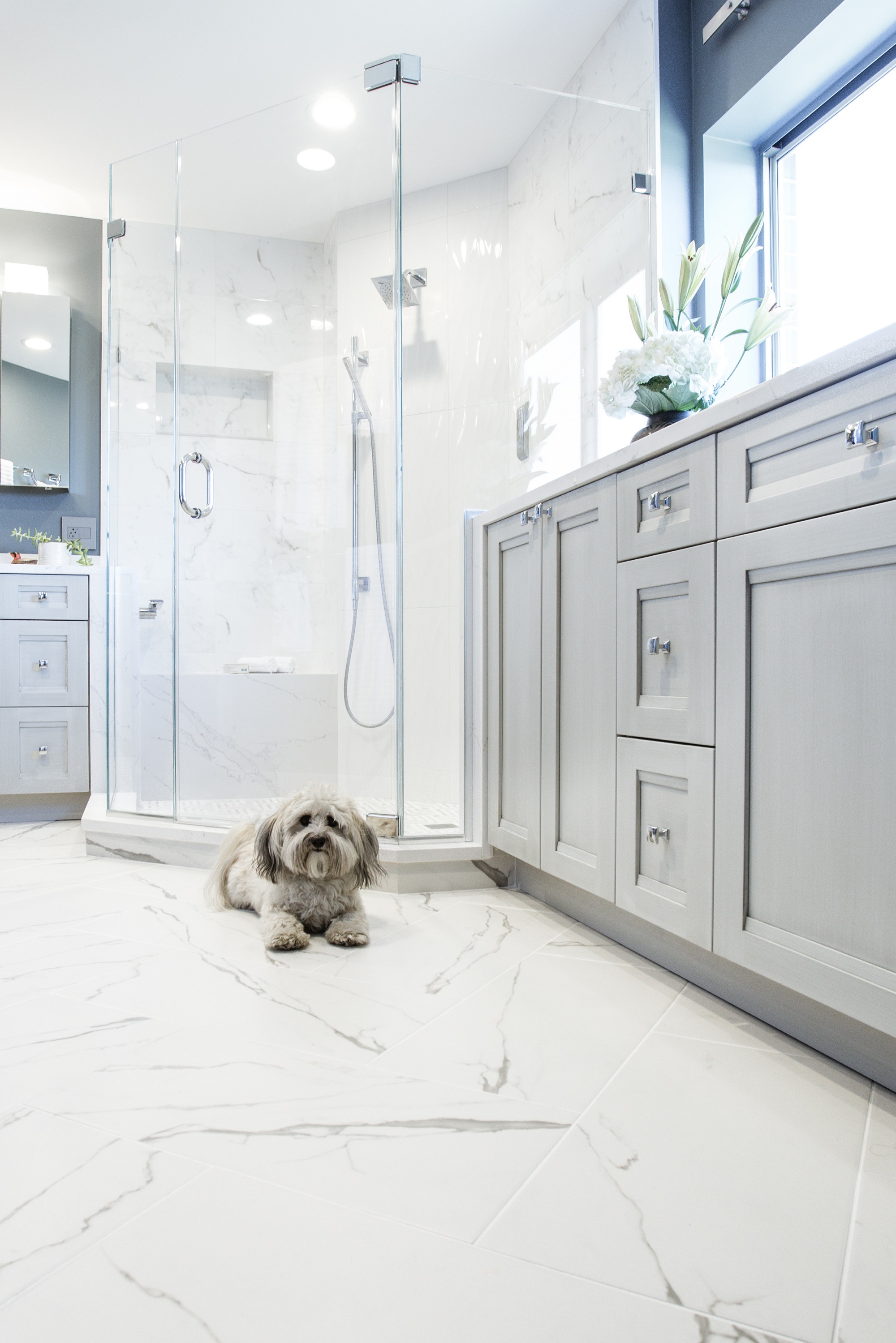 Are Pet-Friendly Tiles a Thing?